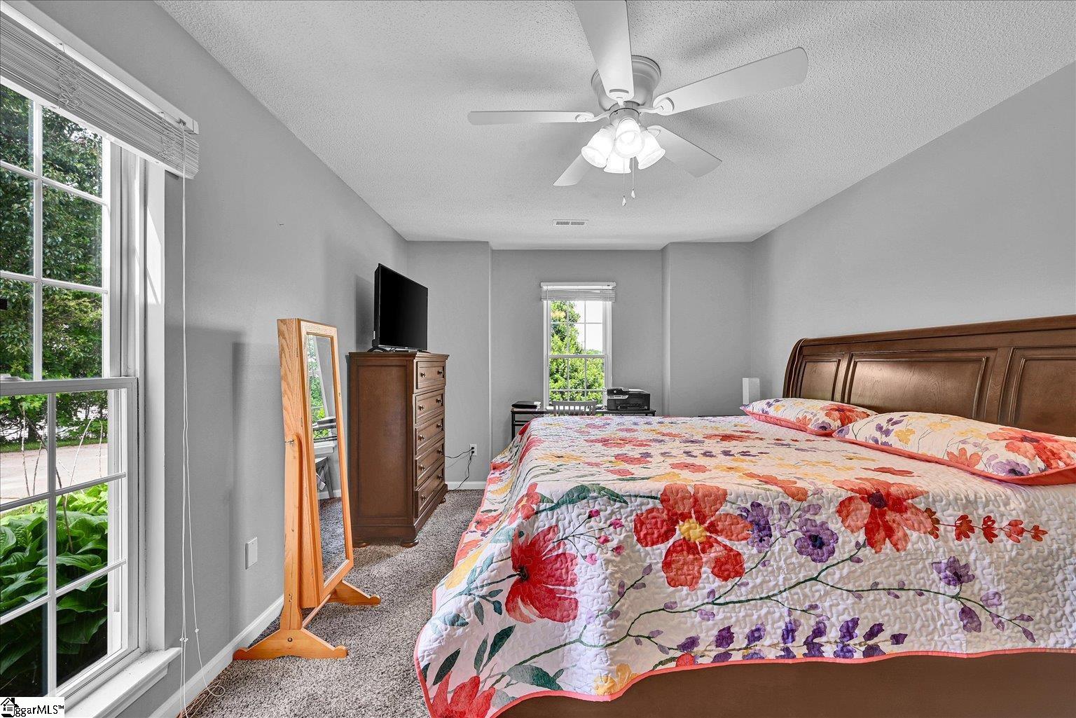 205 Willow Leaf Drive Seneca, SC 29672 - Photo 28 of 42