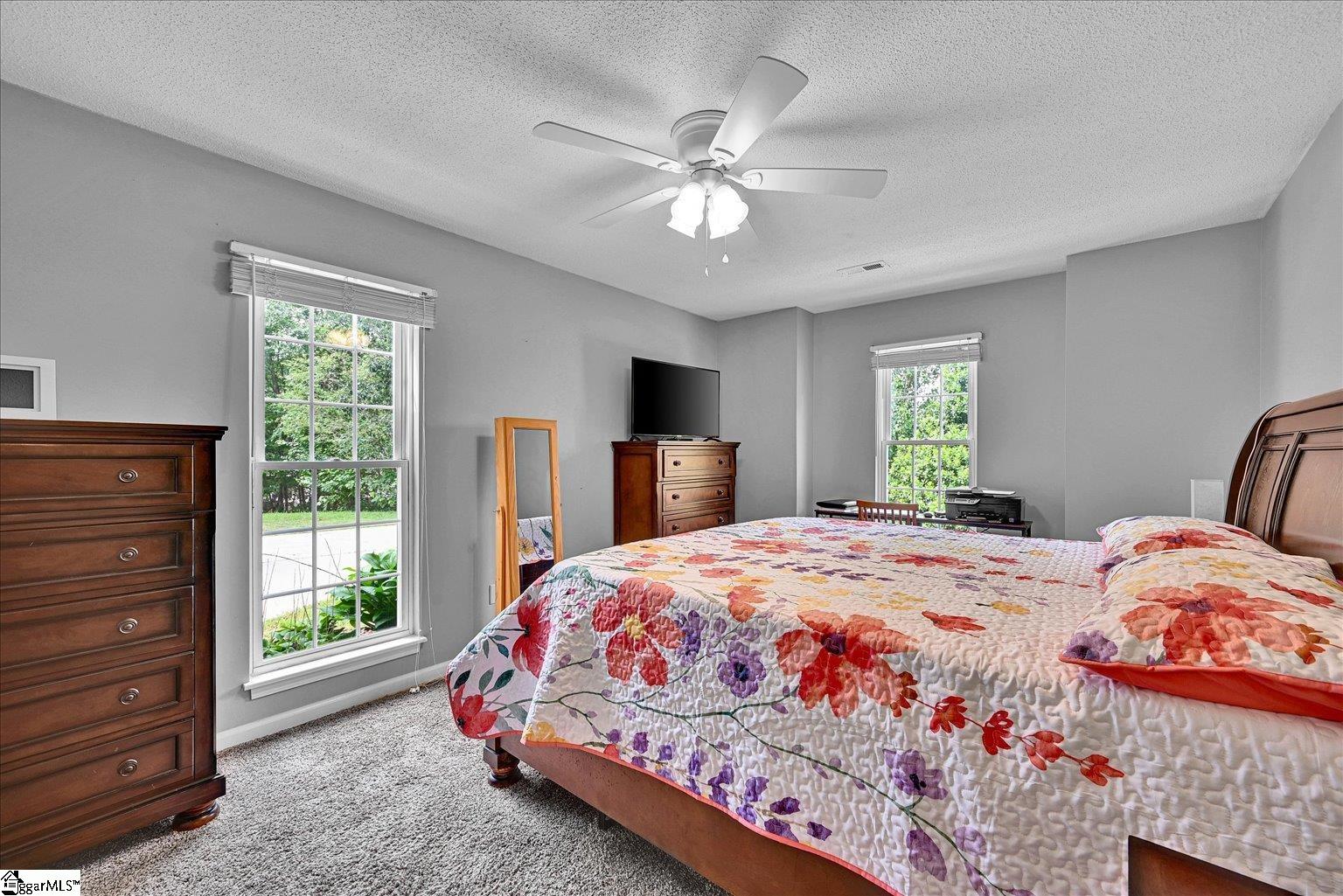 205 Willow Leaf Drive Seneca, SC 29672 - Photo 29 of 42