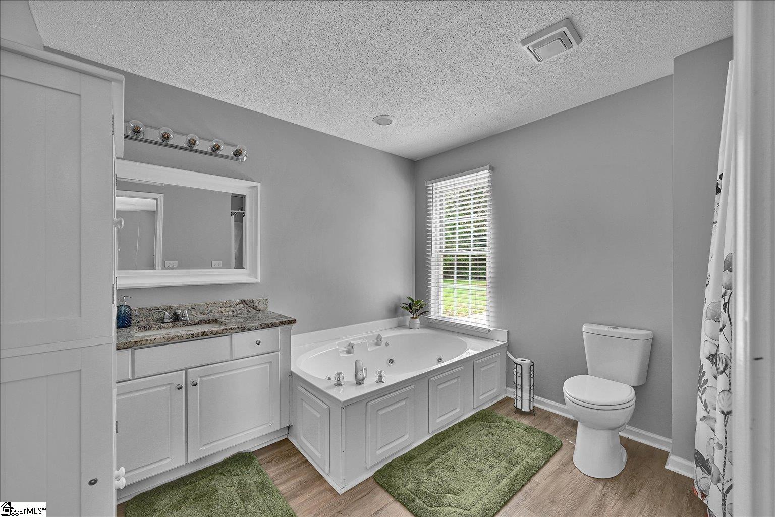 205 Willow Leaf Drive Seneca, SC 29672 - Photo 30 of 42