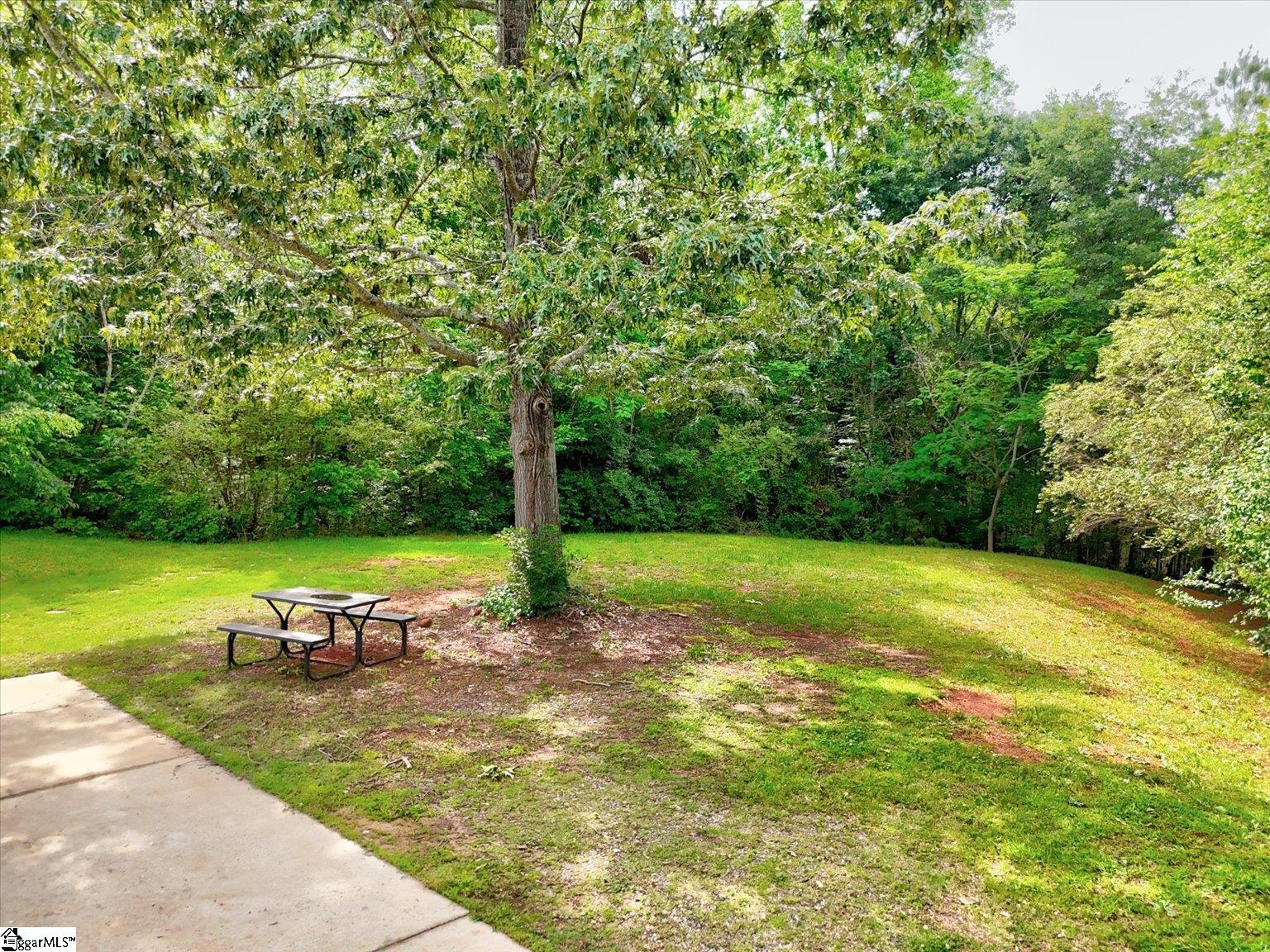 205 Willow Leaf Drive Seneca, SC 29672 - Photo 7 of 42