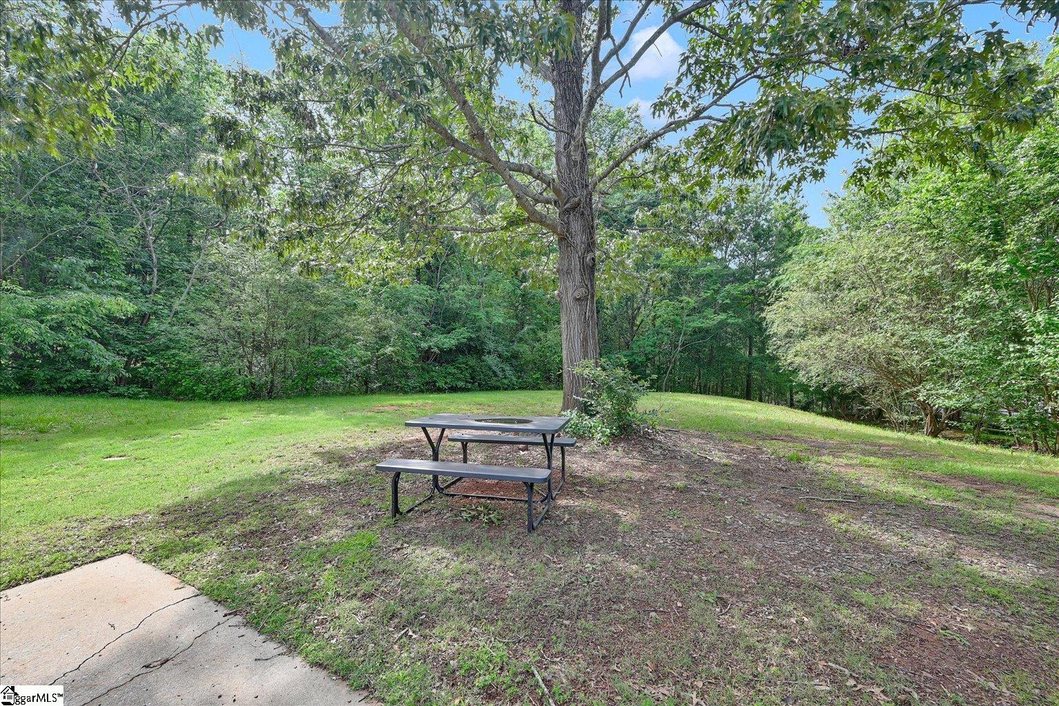 205 Willow Leaf Drive Seneca, SC 29672 - Photo 8 of 42