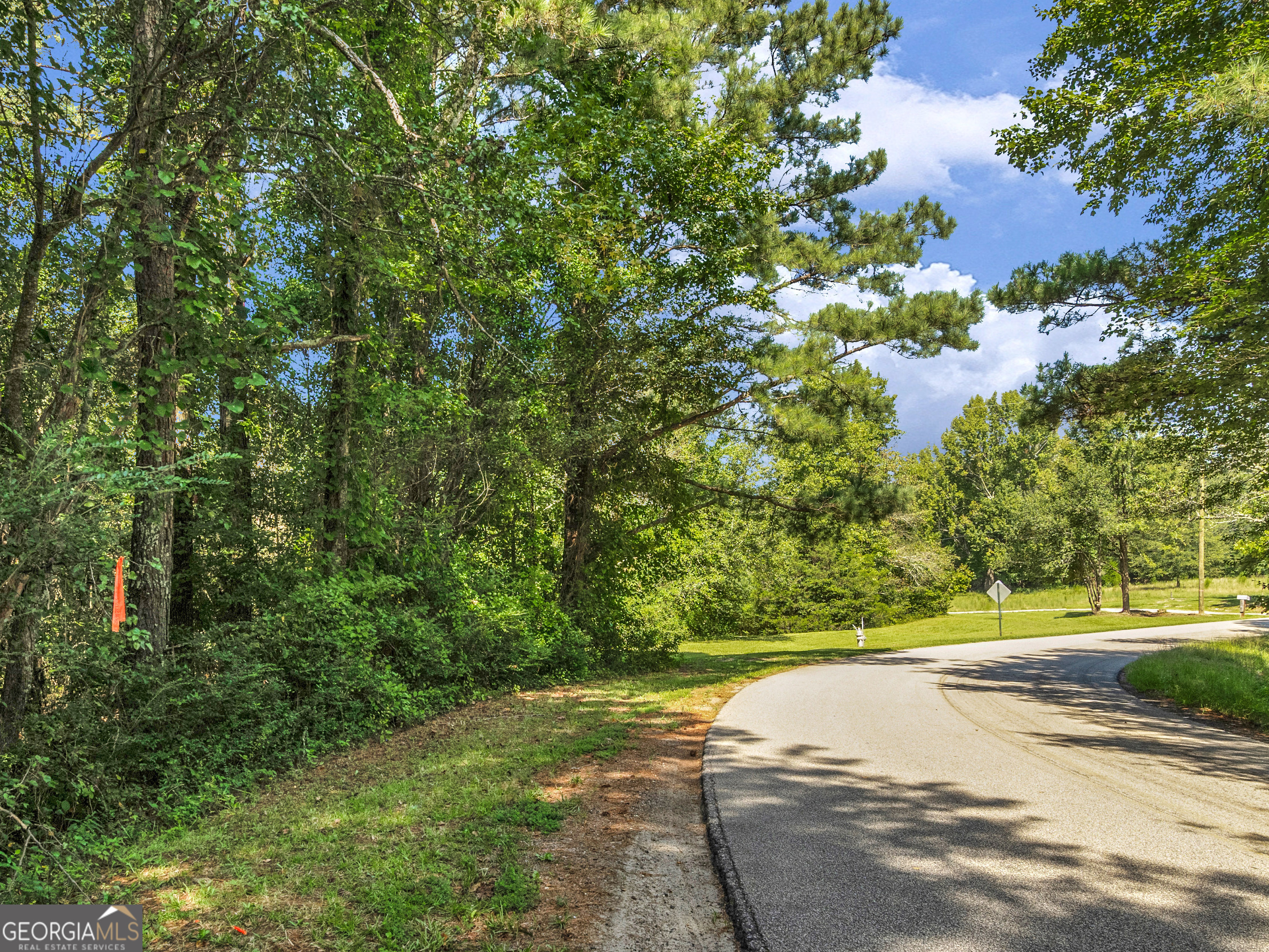 127 Little Road Hampton, GA 30228 - Photo 8 of 13 a view of a road with a yard
