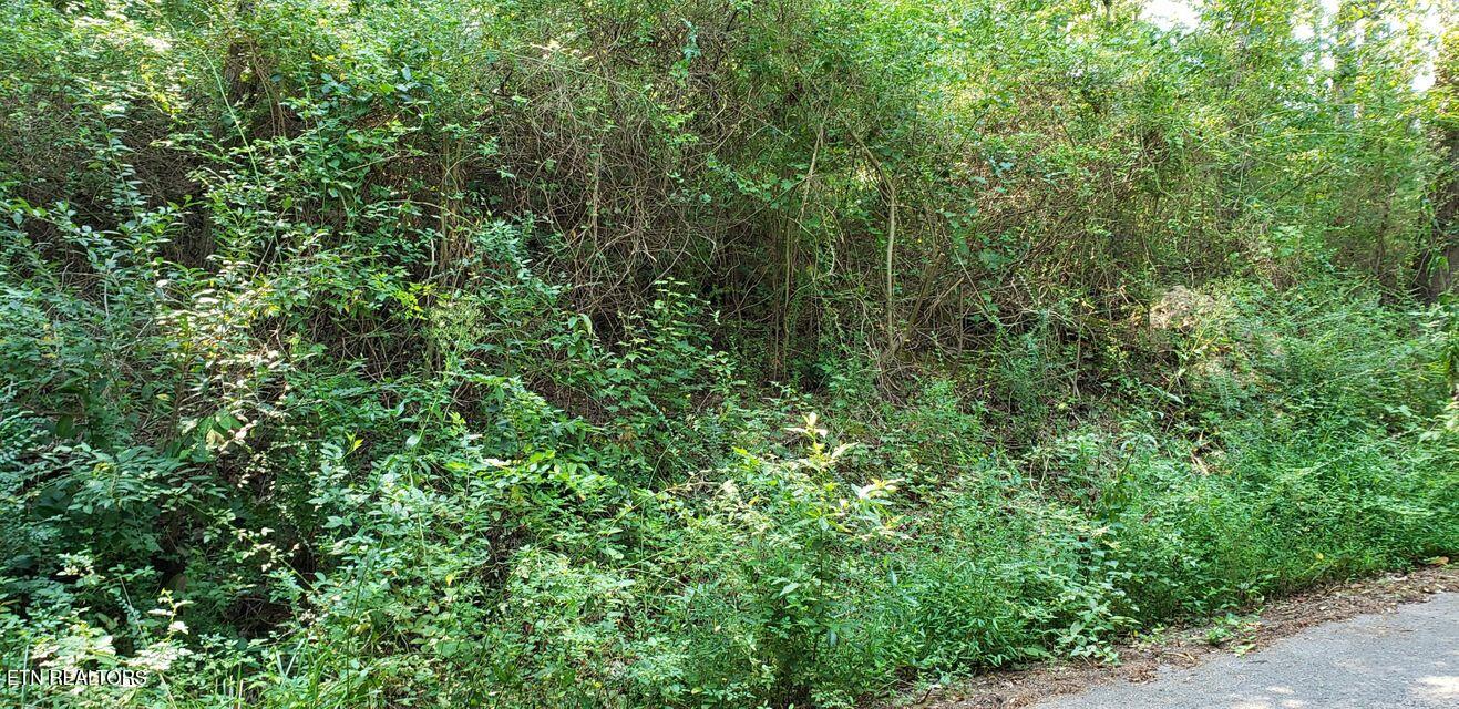 4 Treeline Drive Dunlap, TN 37327 - Photo 9 of 10 9