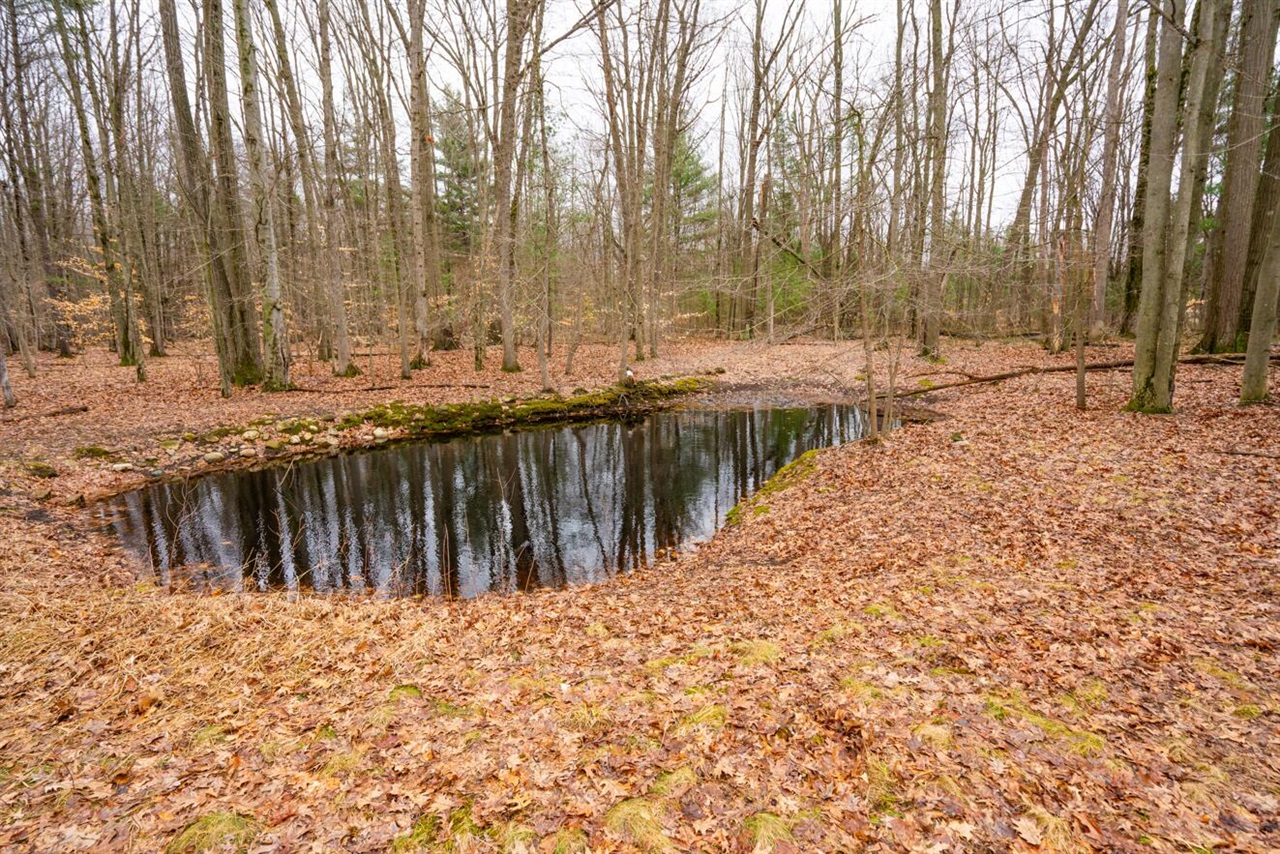 4202 East Pontaluna Road Fruitport, MI 49415 - Photo 4 of 6