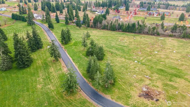 a view of a street with a yard and trees