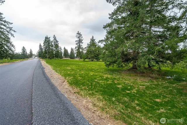a view of a grassy field with trees in the background