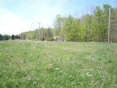 204 Winney Hill Road Oneonta, NY 13820 - Photo 1 of 1 Gallery Image 1