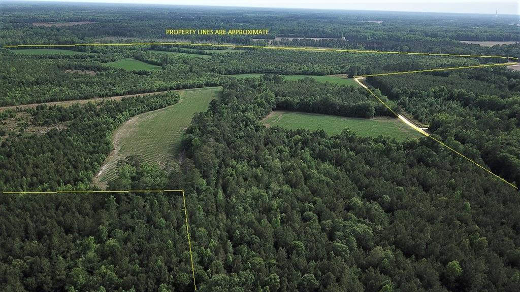 Calgary Road Cope, SC 29038 - Photo 1 of 23 Main View