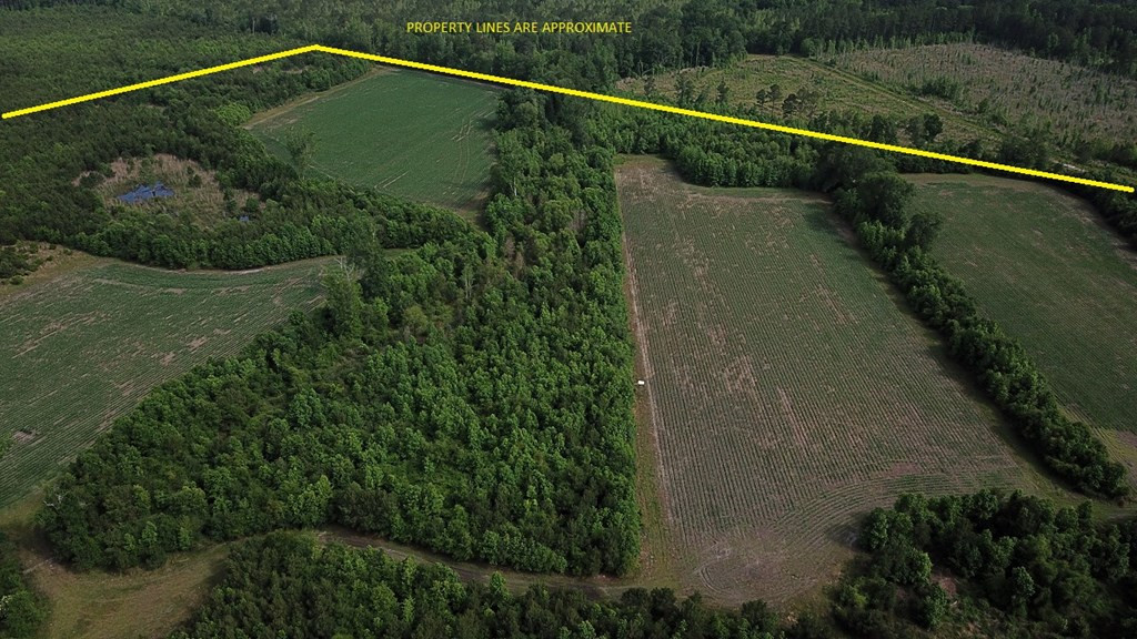 Calgary Road Cope, SC 29038 - Photo 3 of 23 Photo 3