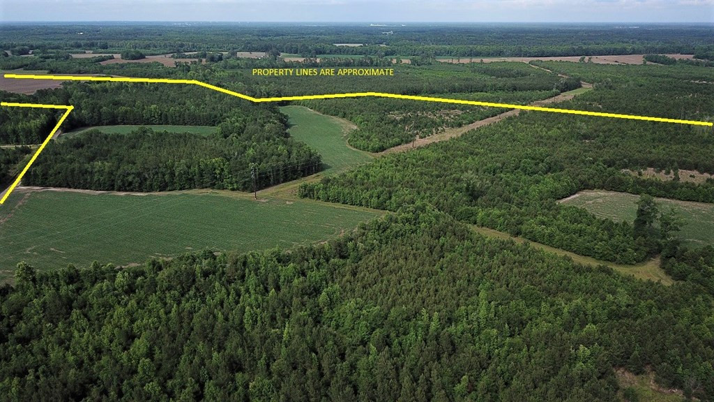 Calgary Road Cope, SC 29038 - Photo 4 of 23 Photo 4