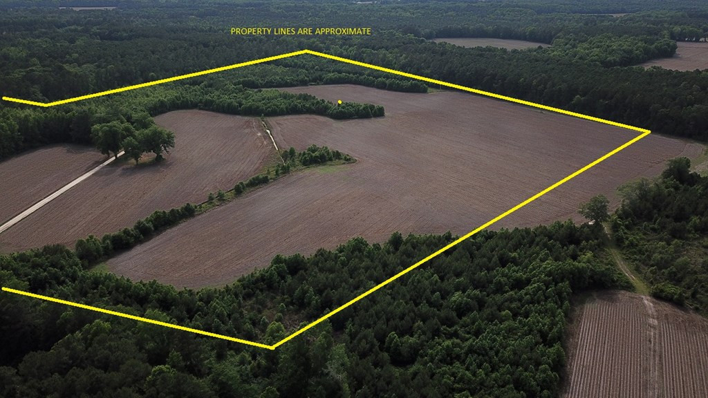 Calgary Road Cope, SC 29038 - Photo 5 of 23 Photo 5