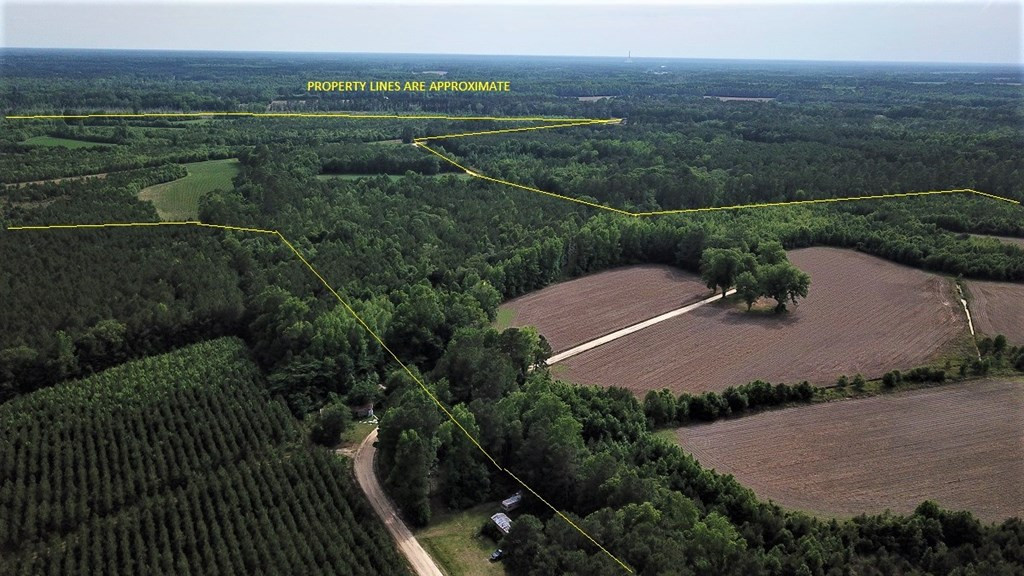 Calgary Road Cope, SC 29038 - Photo 6 of 23 Photo 6