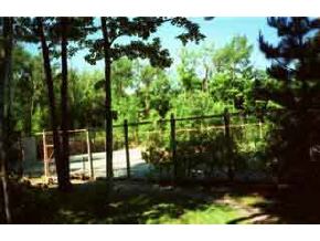 28 West Shore Road, Unit 28 Alexandria, NH 03222 - Photo 2 of 2