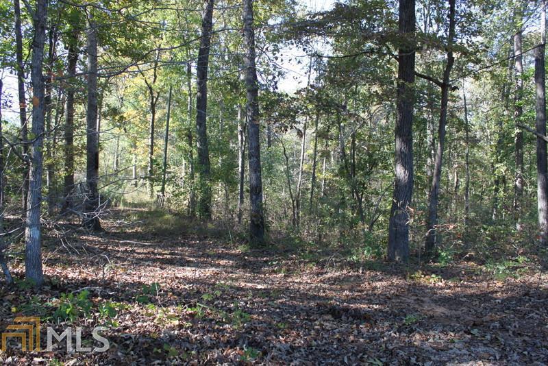 0 Jenkins Ferry Road, Unit TRACT 12 Martin, GA 30557 - Photo 1 of 1
