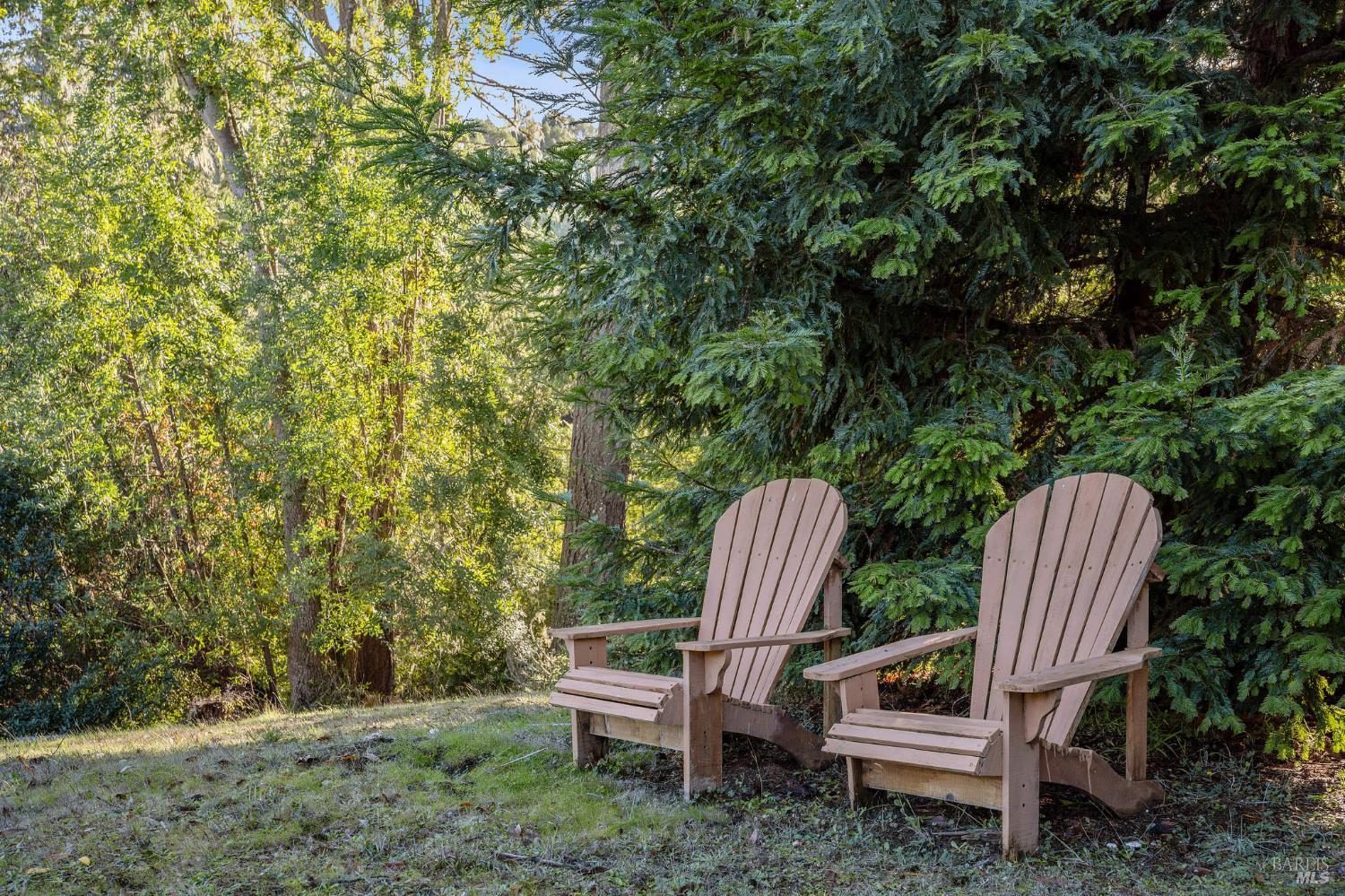 65 Kyleswood Place Point Reyes Station, CA 94956 - Photo 28 of 39