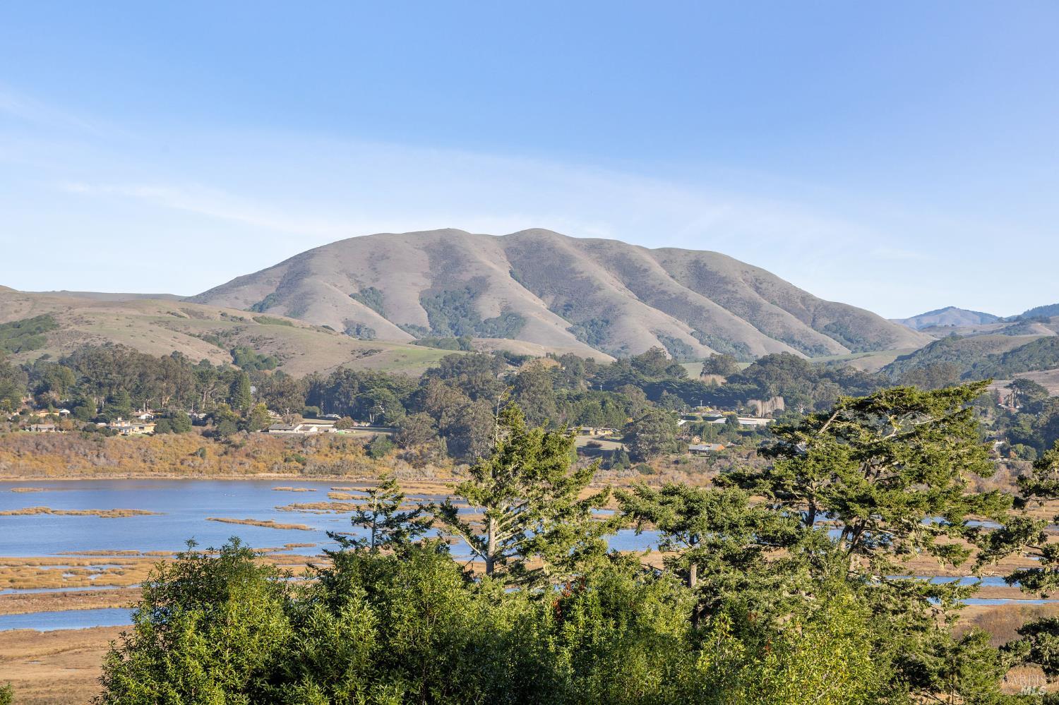 65 Kyleswood Place Point Reyes Station, CA 94956 - Photo 29 of 39