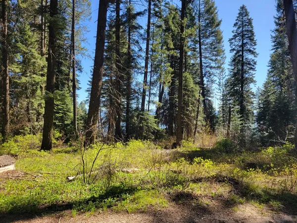 $109,900 | 22 Melody Lane, Unit 10, Cascade, ID 83611