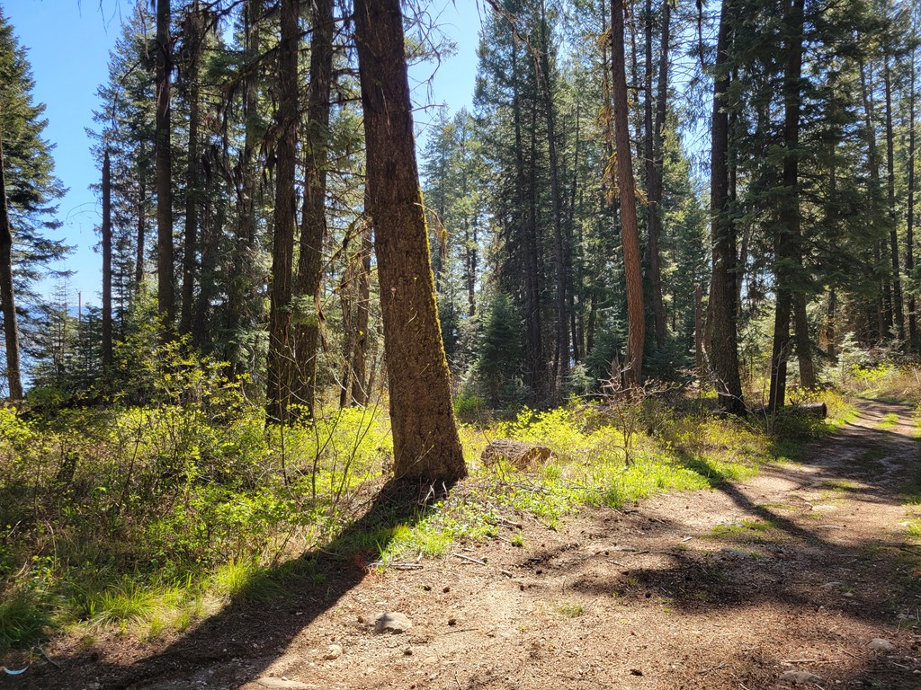 22 Melody Lane, Unit 10 Cascade, ID 83611 - Photo 3 of 8 Bring your RV!