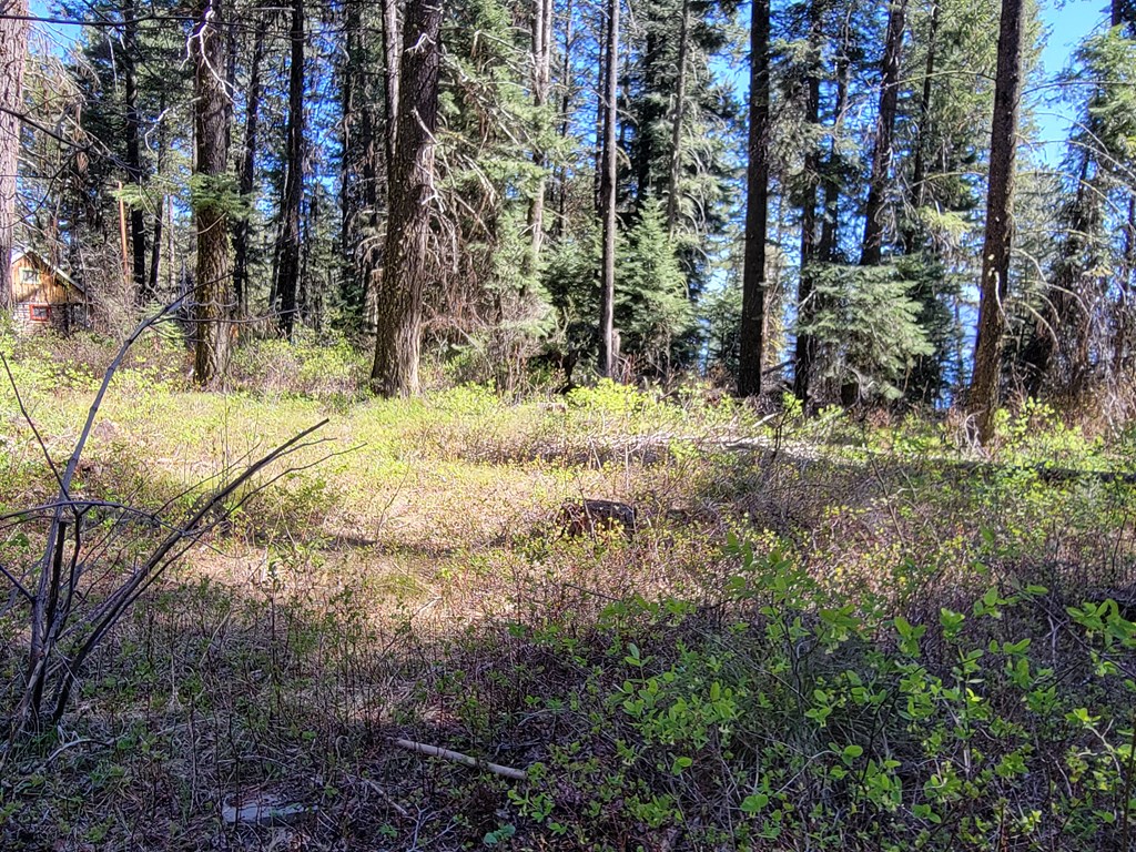 22 Melody Lane, Unit 10 Cascade, ID 83611 - Photo 4 of 8 Level, useable