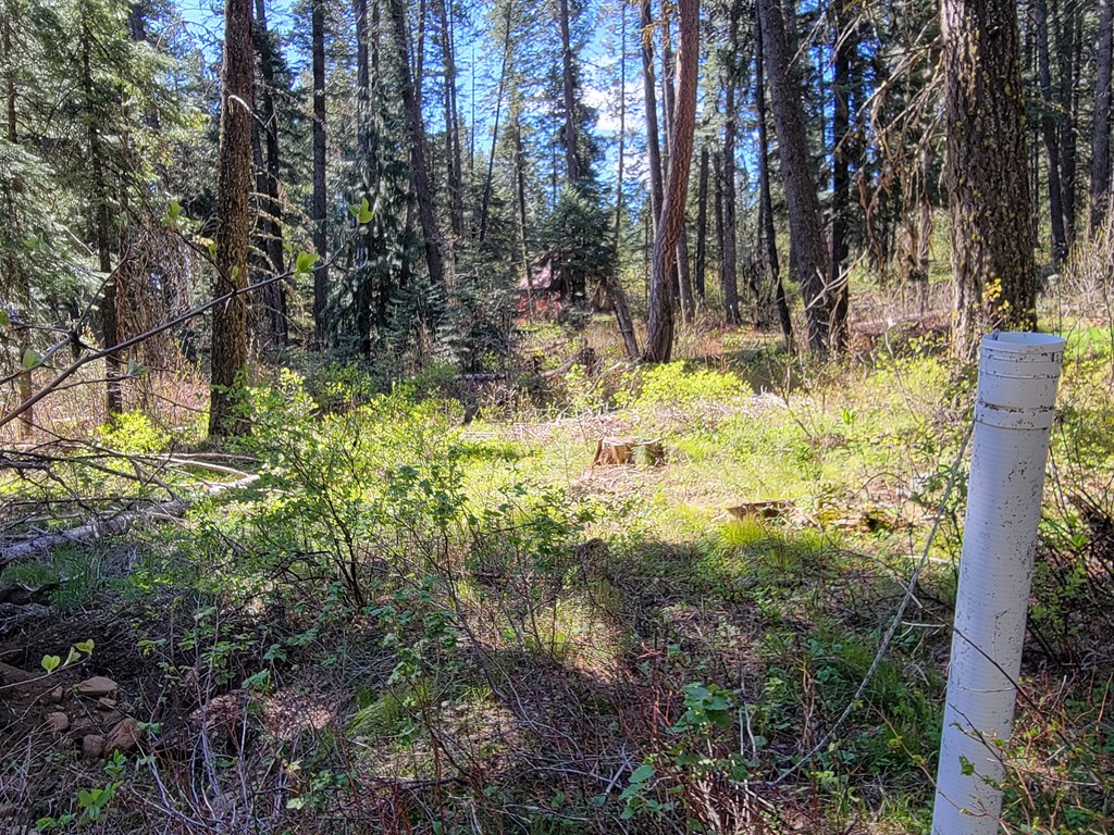 22 Melody Lane, Unit 10 Cascade, ID 83611 - Photo 5 of 8 Septic approved