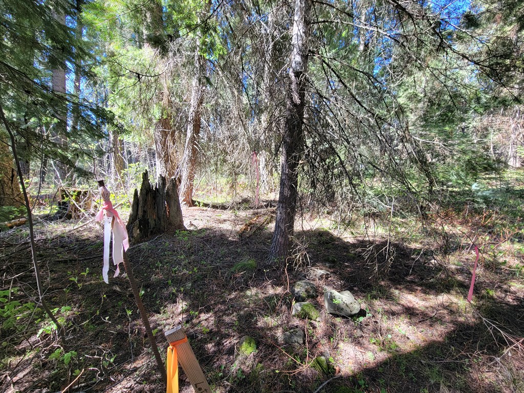 22 Melody Lane, Unit 10 Cascade, ID 83611 - Photo 6 of 8 Corners marked