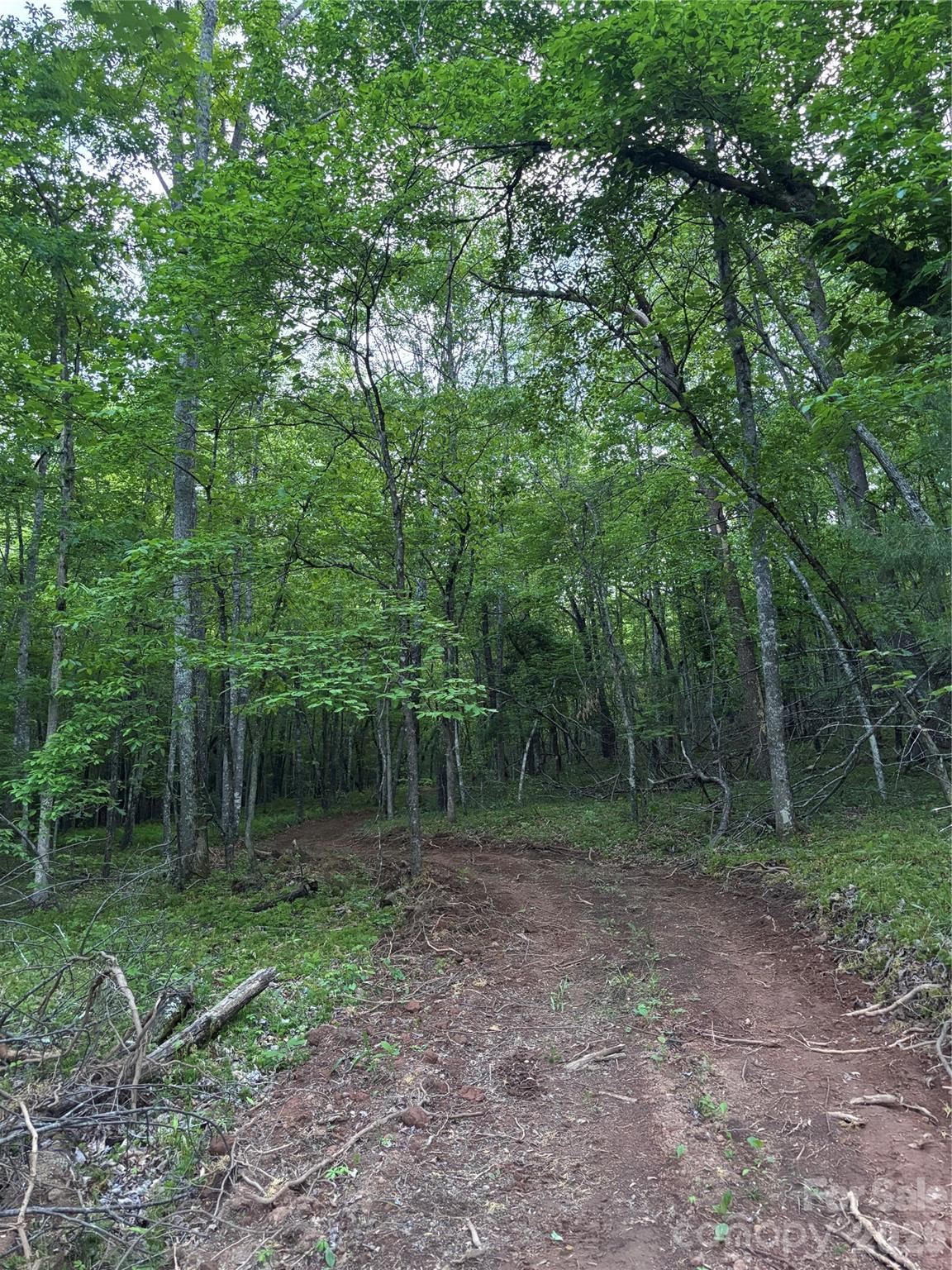 1239 Mcguinn Road Mill Spring, NC 28756 - Photo 13 of 33