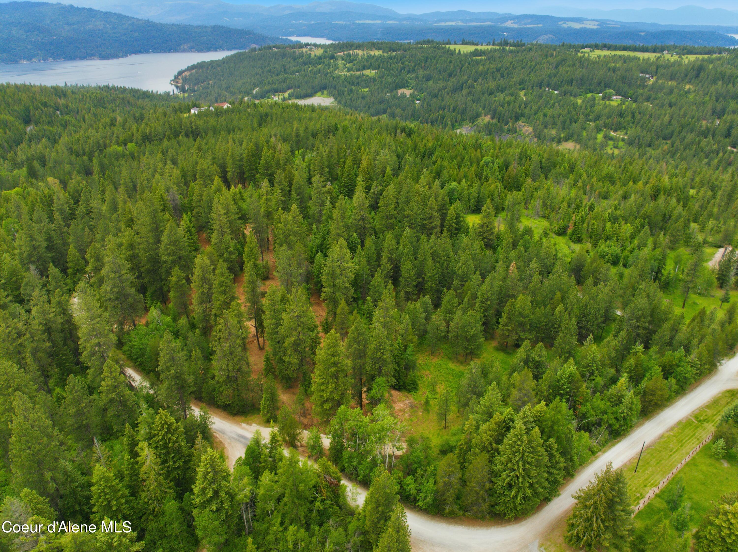 Parcel A South Dunlap Road Harrison, ID 83833 - Photo 17 of 27 47-Parcels A,B,C Dunlap Road_RedHogMedia