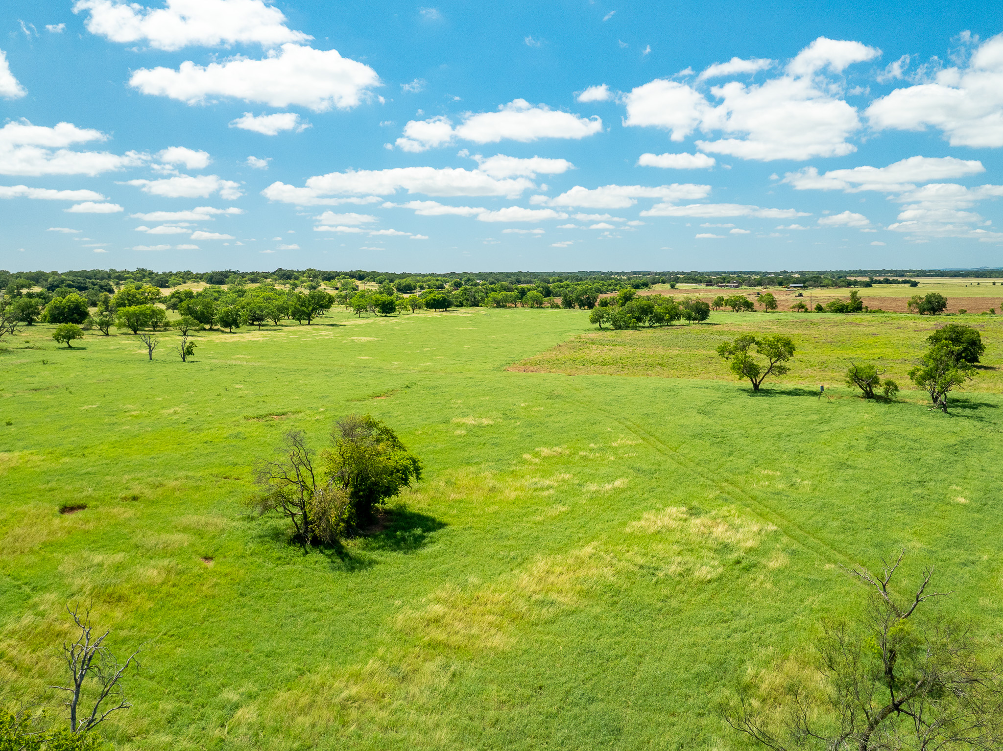 8044 580th Street East Kempner, TX 76539 - Photo 15 of 40 Vast green pastures and scattered trees define this expansive rural landscape under a wide-open sky.