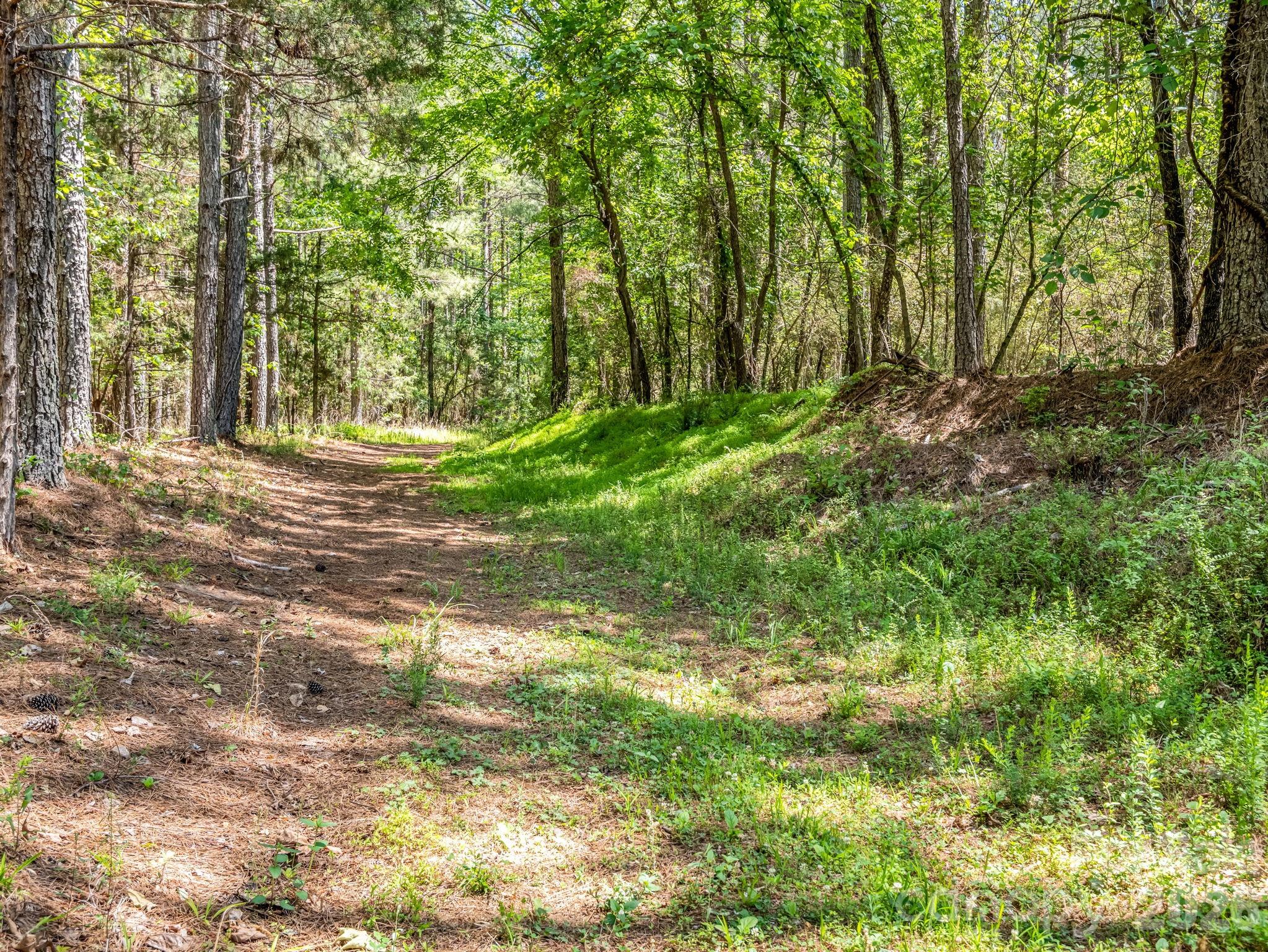 0 Jim Dobbins Road Rutherfordton, NC 28139 - Photo 19 of 39 a view of a yard with large trees