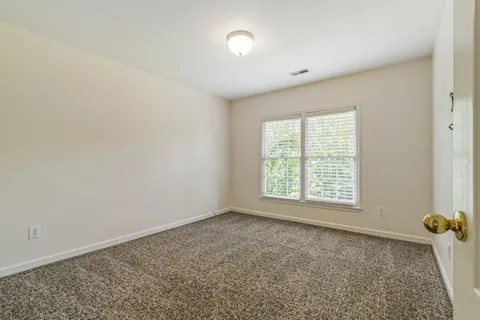 a view of a trees in a yard