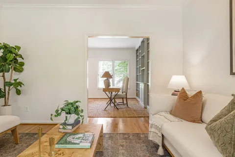 a living room with furniture and a potted plant