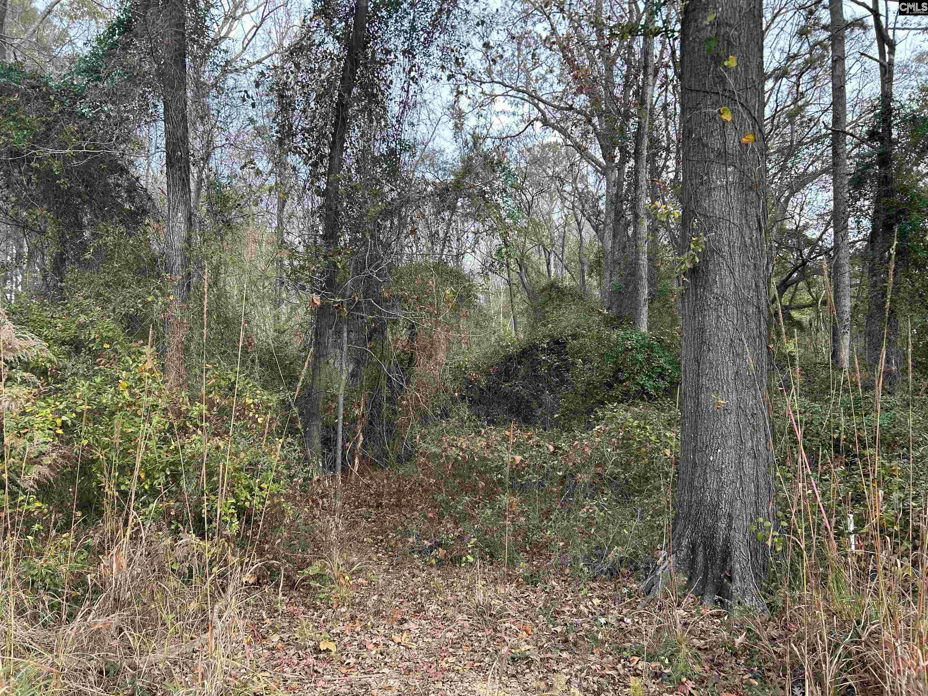 440 Paschal Road Elgin, SC 29045 - Photo 13 of 23