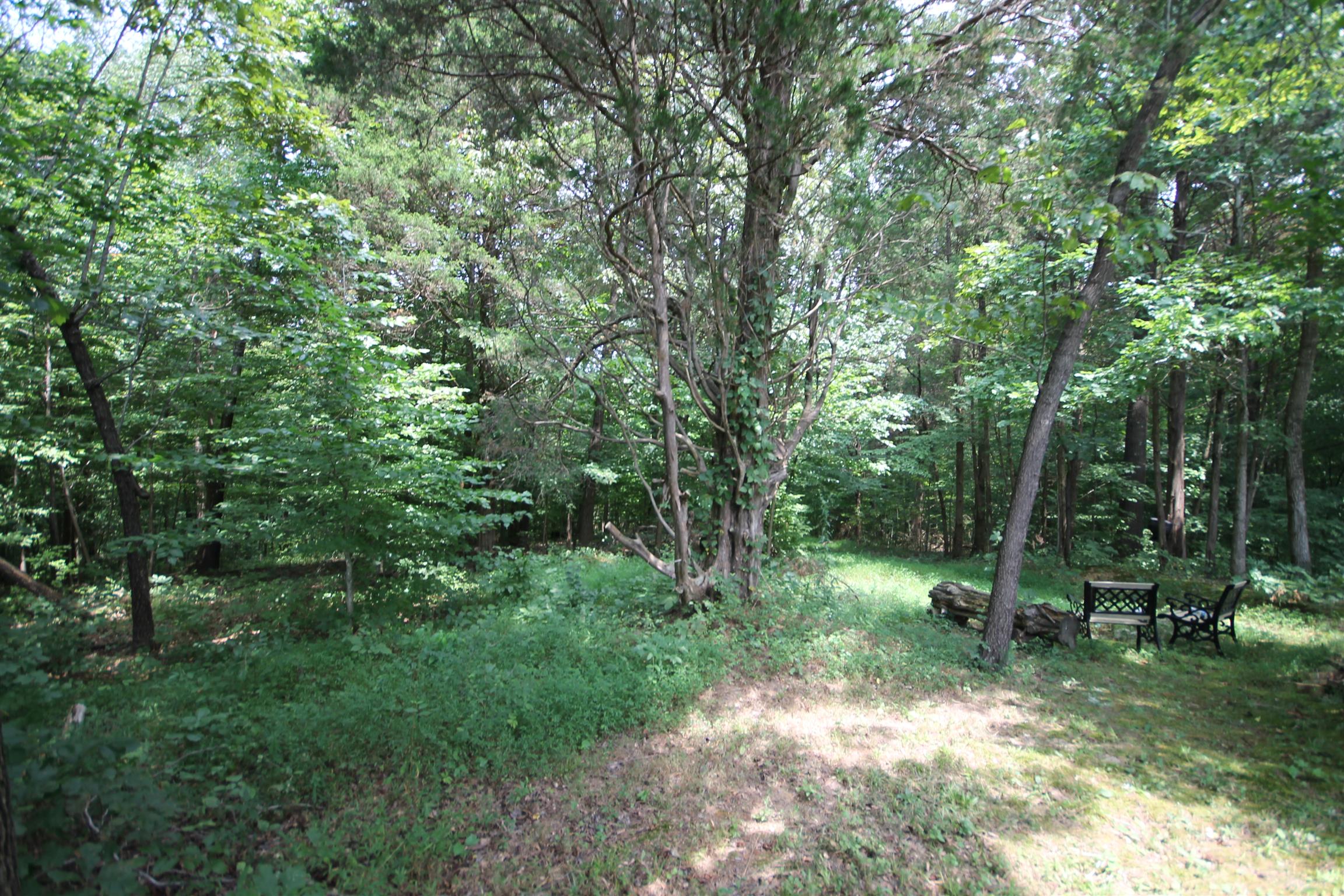 2195 River Road Clarksville, TN 37040 - Photo 3 of 18 a view of outdoor space and green space