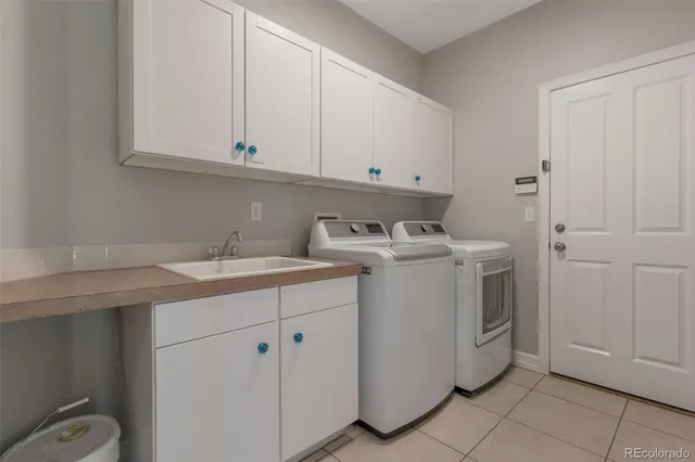 a view of a yard with plants and large tree