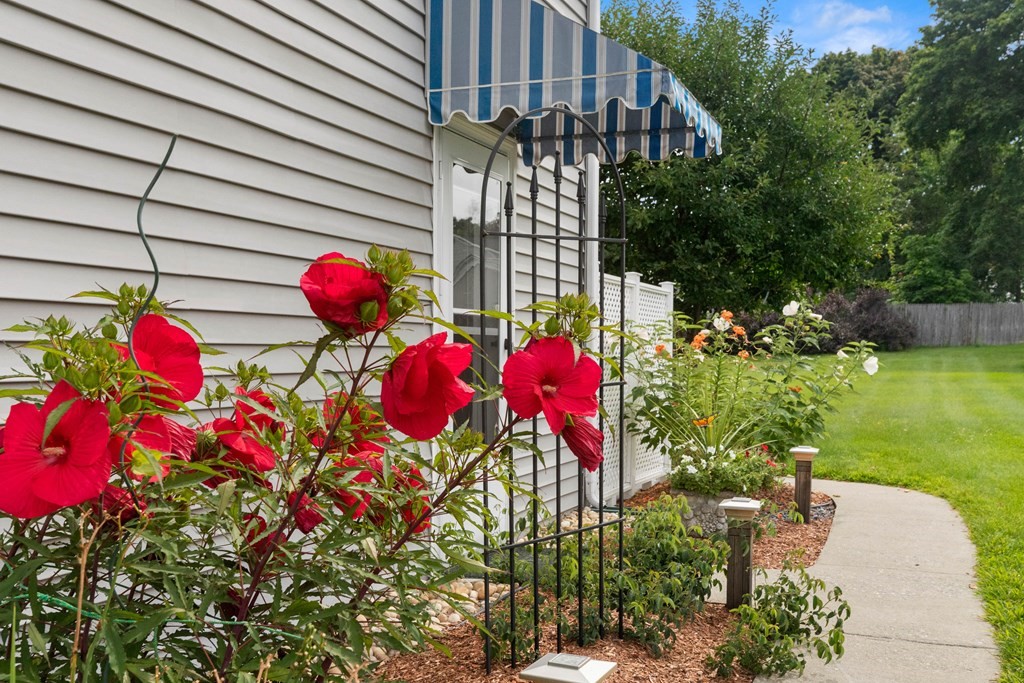15 Elmont Road Lowell, MA 01852 - Photo 21 of 38 Gallery Image 21