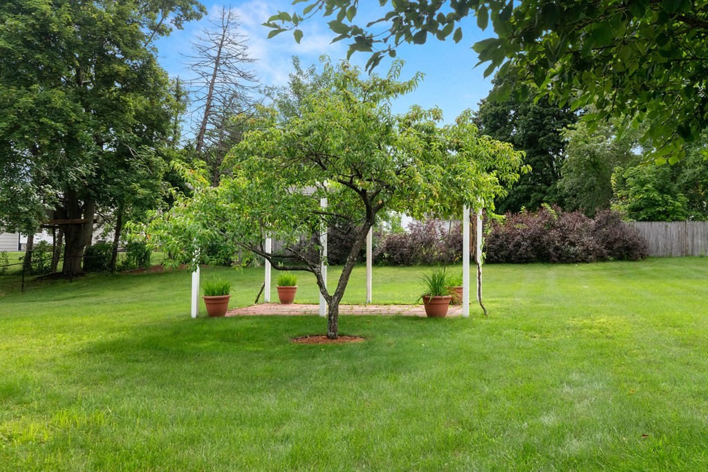 15 Elmont Road Lowell, MA 01852 - Photo 30 of 38 Gallery Image 30