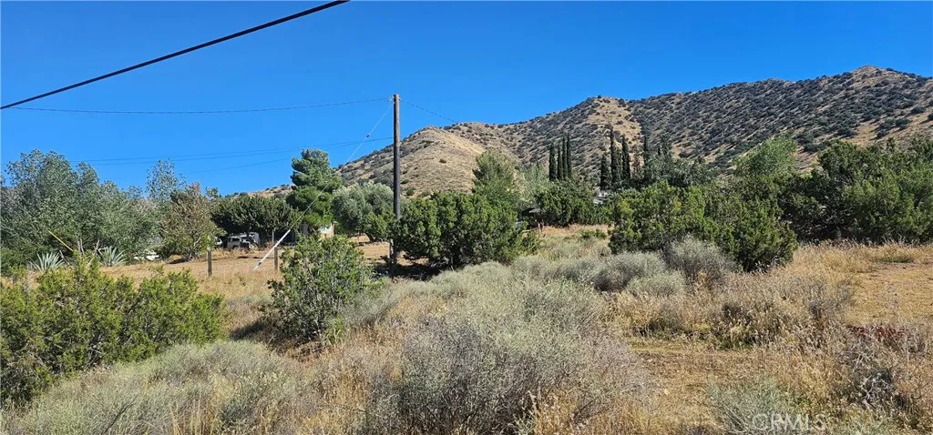 0 Soledad Pass Acton, CA 93510 - Photo 5 of 9