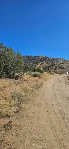 a view of a dry yard