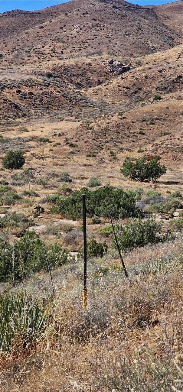 0 Soledad Pass Acton, CA 93510 - Photo 9 of 9 a view of a dry yard
