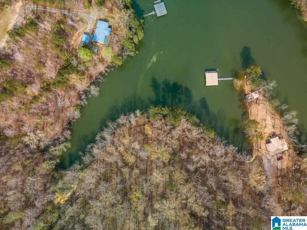 Smith Lake Dam Road Jasper, AL 35504 - Photo 3 of 15