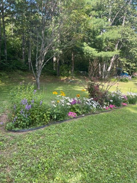 54 Highland Avenue Fort Kent, ME 04743 - Photo 12 of 41 IMG_6601