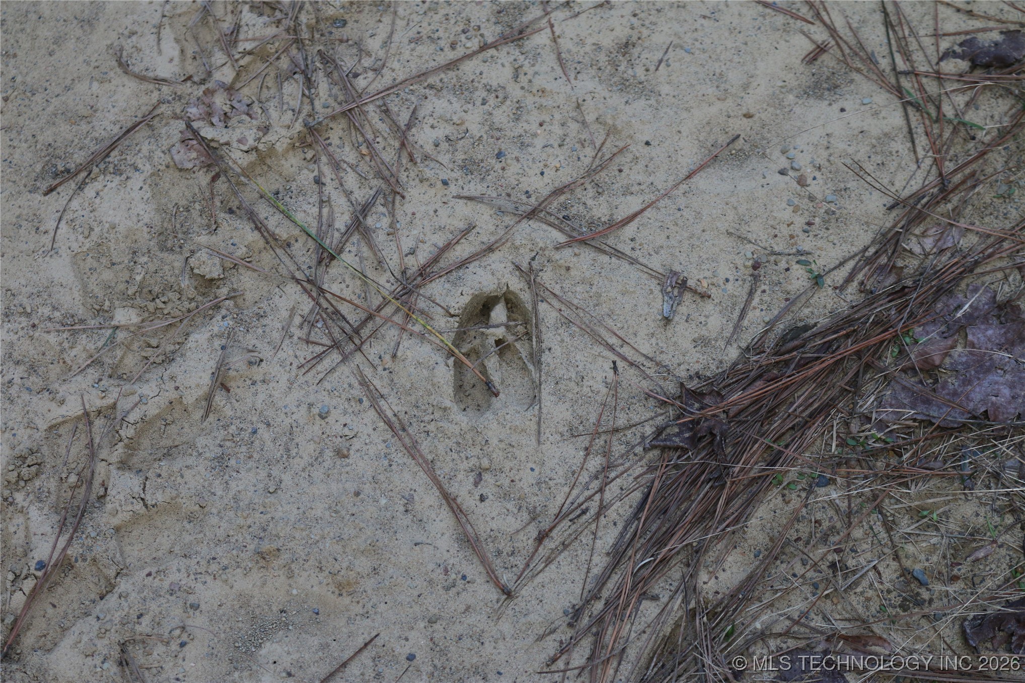 Marsh Loop Loop Smithville, OK 74957 - Photo 55 of 65 Gallery Image 55