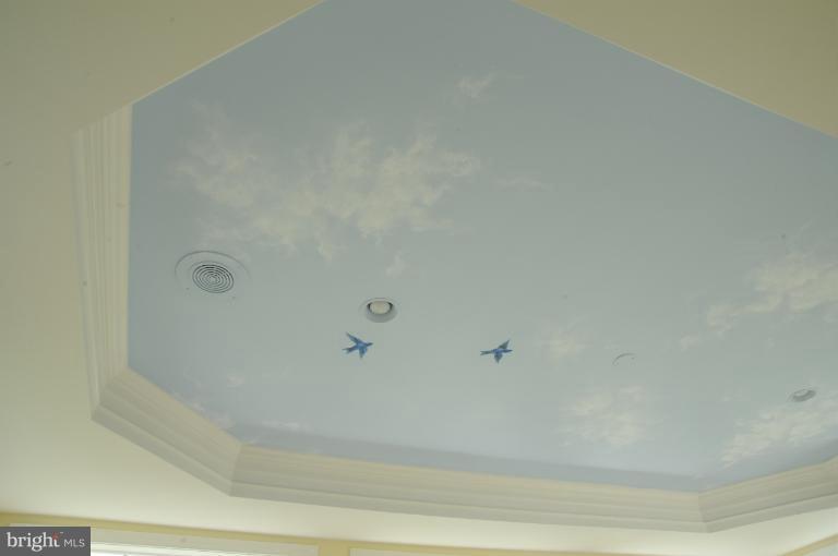 7709 Brink Road Gaithersburg, MD 20882 - Photo 15 of 30 Conservatory Ceiling