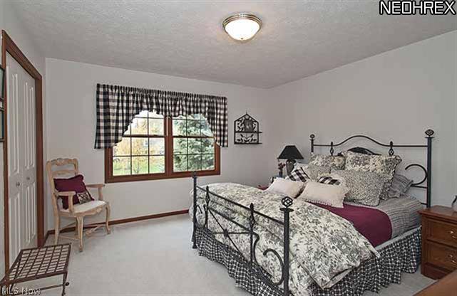 357 Longspur Road Highland Heights, OH 44143 - Photo 15 of 22 Bedroom #2 with Great Closets