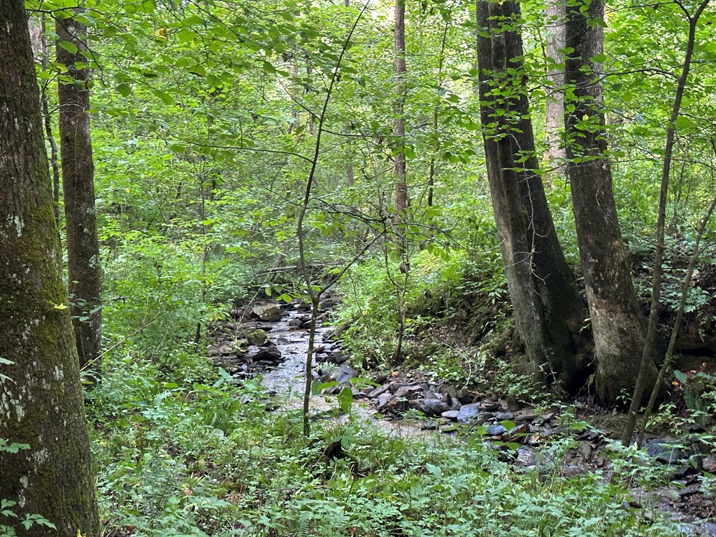 10.45-ac Bushyhead Road Cherry Log, GA 30522 - Photo 4 of 9