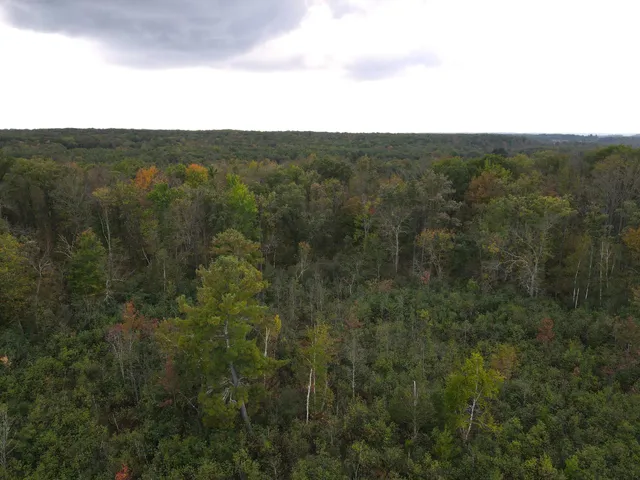 $174,500 | Tbd 50th Street, Frederic, WI 54837