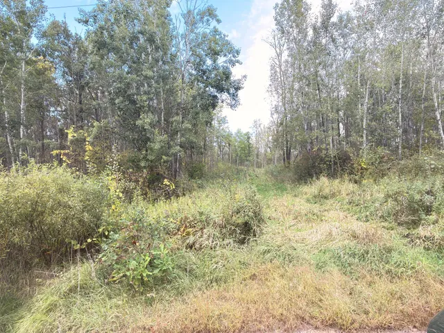 $174,500 | Tbd 50th Street, Frederic, WI 54837