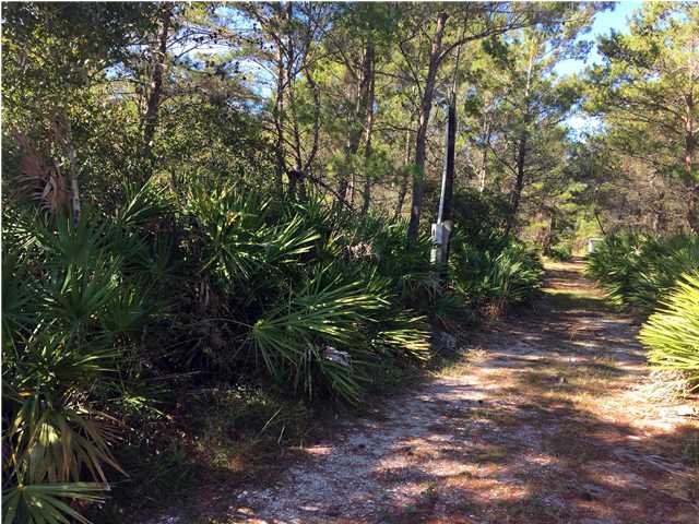 164 Woodill Road Carrabelle, FL 32322 - Photo 1 of 1