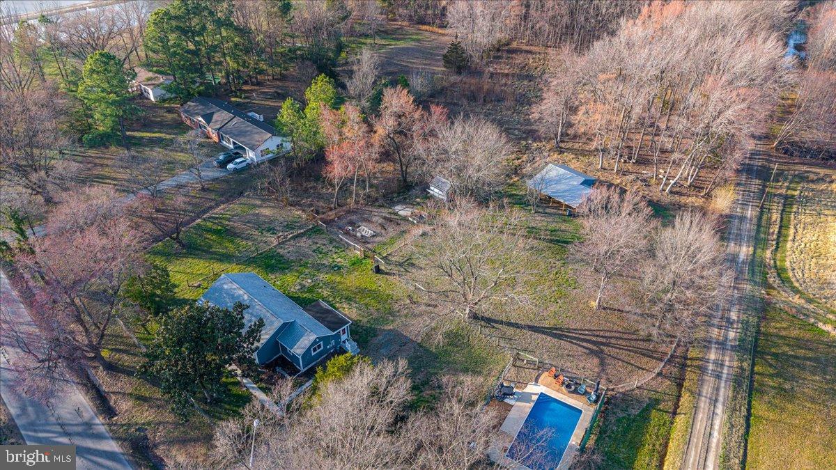 2505 West Denneys Road Dover, DE 19904 - Photo 8 of 68 Serene countryside retreat with lush greenery.