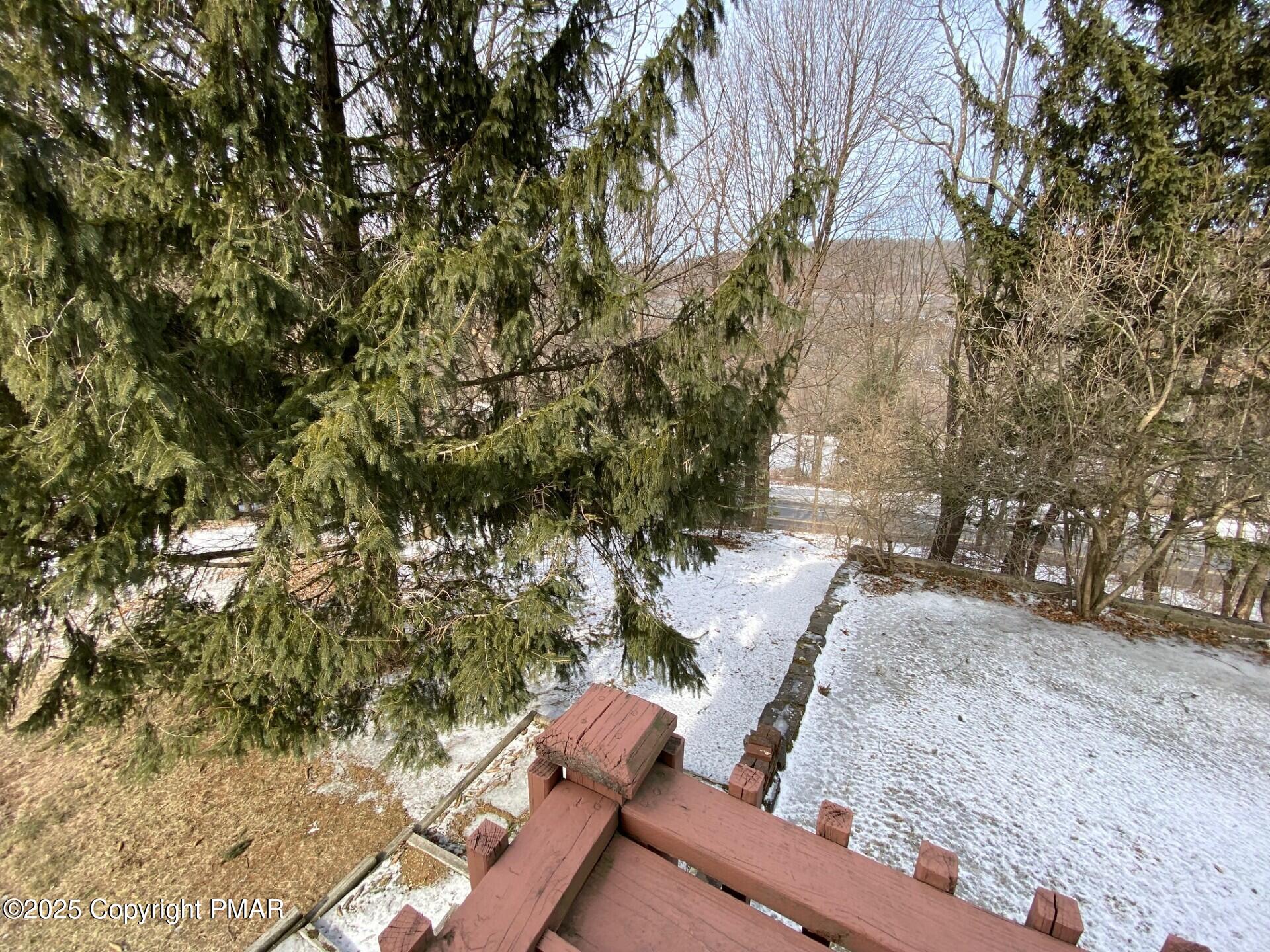 1 West Ridge Street Coaldale, PA 18218 - Photo 5 of 78 a view of a yard with plants and trees